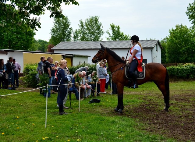 Himmelfahrt 2018